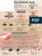 Infografia Sistema Endocrino