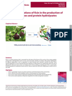 Potential Applications of Ficin in The Production