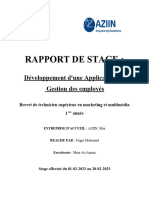 rapport-stage-AZIIN-version-complete 2