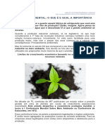 Gestão Ambiental - o Que É e Qual A Importância