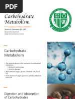 Carbohydrate Metabolism