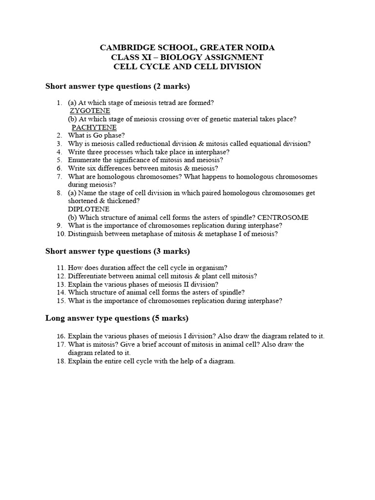 Class 11 Biology: Cell Cycle Assignment | PDF