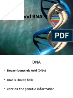 Dna and Rna - 091006