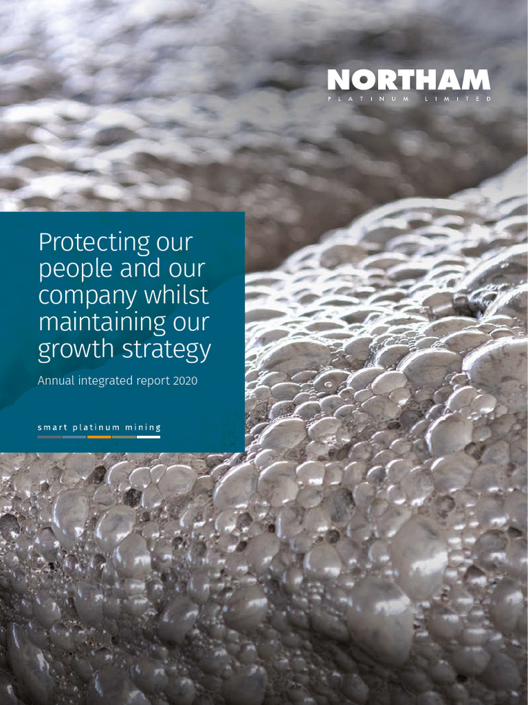 Integrated Annual Report 2020 Pdf Audit Mining