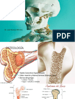 Tema 2 - Osteologia-2