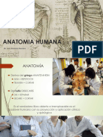 Tema 1 - Anatomia Humana-1