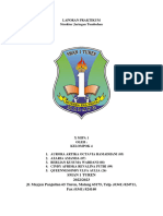 Laporan Praktikum Jaringan Tumbuhan