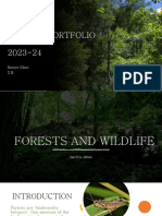Forest and Wildlife