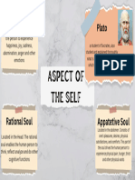 Aspect of The Self Philosophical