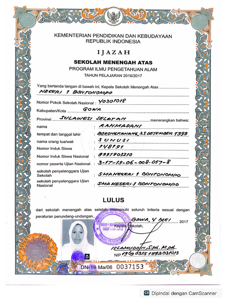 SMA | PDF