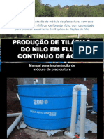 4 - Produção de Tilapias Do Nilo em Sistema de Fluxo Continuo