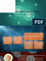 Cell Cycle and Cell Division