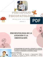 Portafolio Psicopatologia II