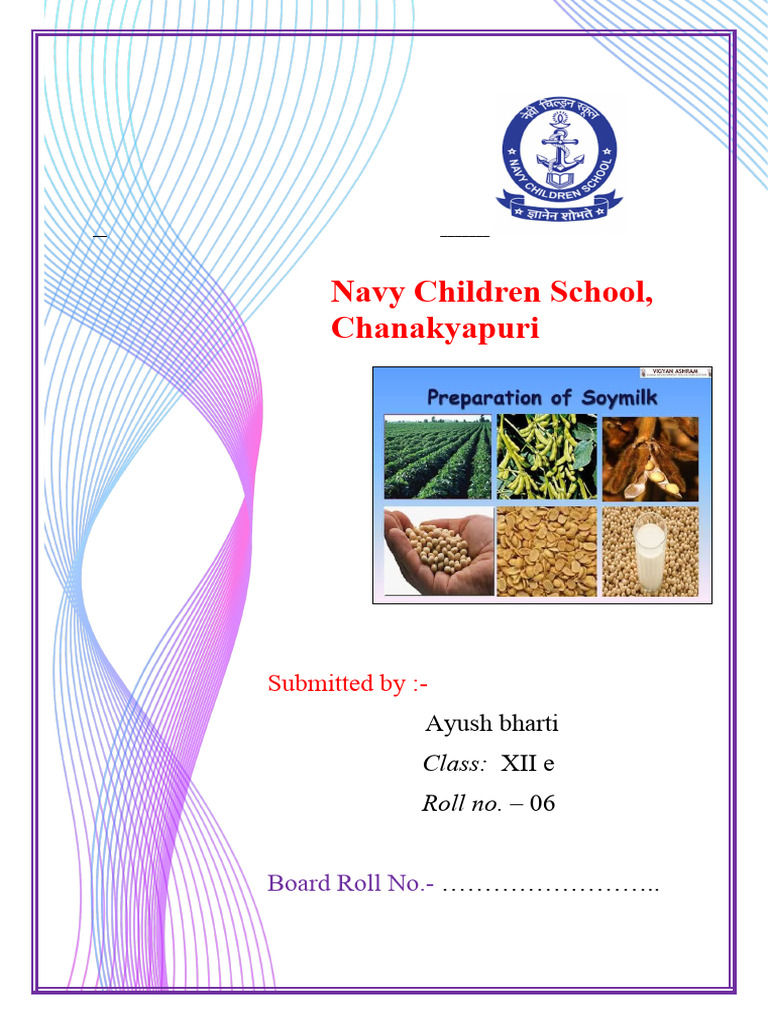 Chem Project PDF Milk Soy Milk