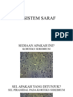 (Ind) TP Sistem Saraf