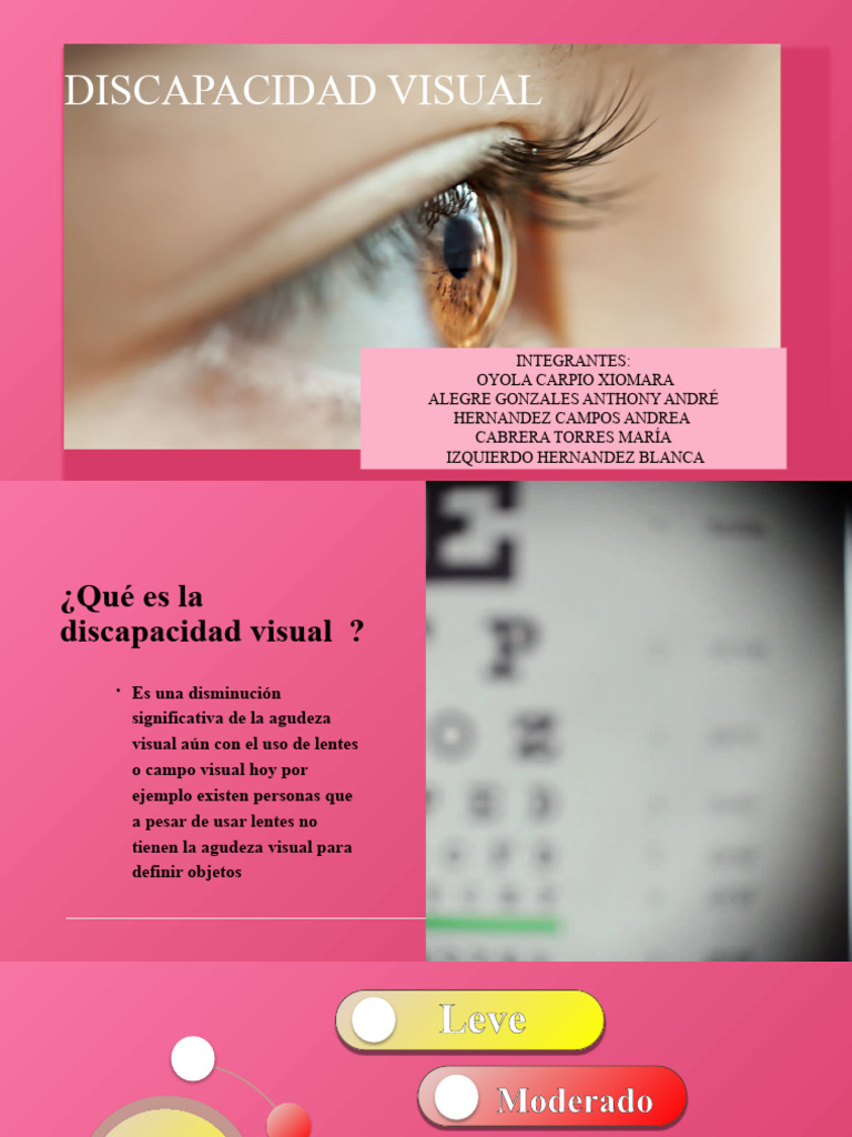Clasificación y características de la discapacidad visual | PDF | Ojo ...