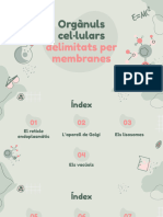 Organuls Delimitats Per Membranes