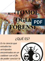 Entomología