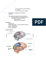 2A.2 - The Central Nervous System