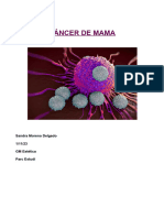 Cáncer de Mama