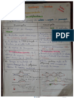 Résumé 1 Résumé Biologie Moléculaire SVI5 2018 2019