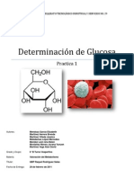 Practica Metabolismo Glucosa