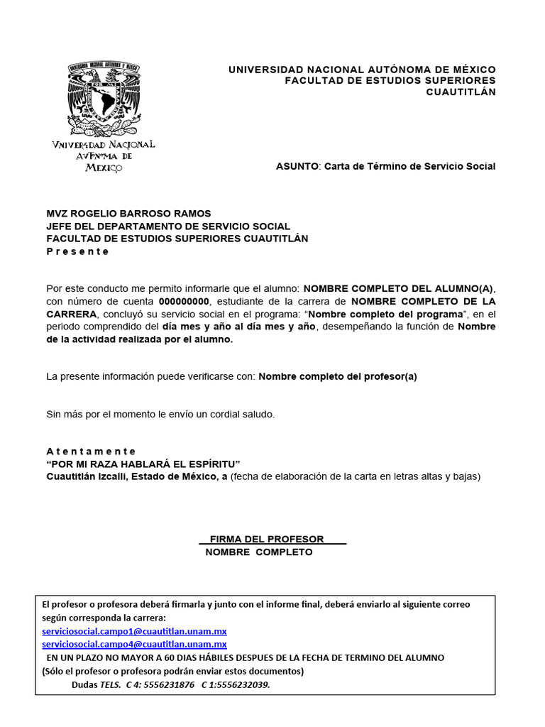 Custodia Per Poster Green Week B2 - 20 Fogli Trasparenti Con Carta Interna - GWB2F-20