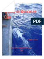 Tizol - Shark Fisheries Cuba - Sept 2010