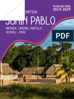 PV Junin Pablo Web