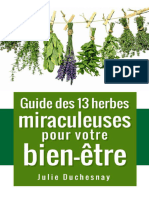 Guide des 13 herbes miraculeuses