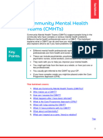 Community Mental Health Team Factsheet