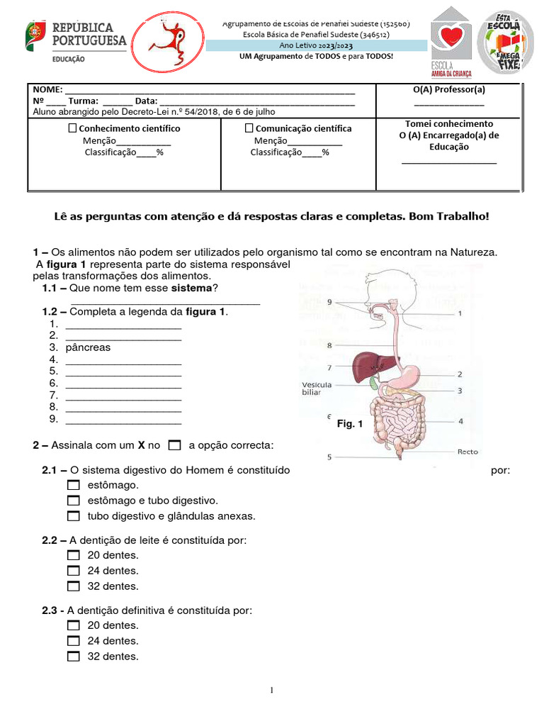 Sistema Digestivo: Perguntas e Respostas | PDF | Digestão | Estômago