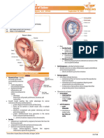 Obstetrics II - Physiology of Labor (Dr. Agudo)