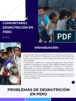 Proyecto de Intervencion Desnutricion Peru