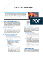 Contaminación Ambiental