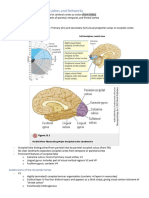 Chapter 13 The Occipital Lobes and Networks