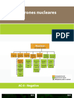 Atlas Patrones Acs. Anti-Nucleares