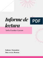 Informe de Desarrollo