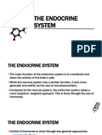 HCT Endocrine System