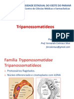 Tripanossomatídeos - Leishmania Sp.