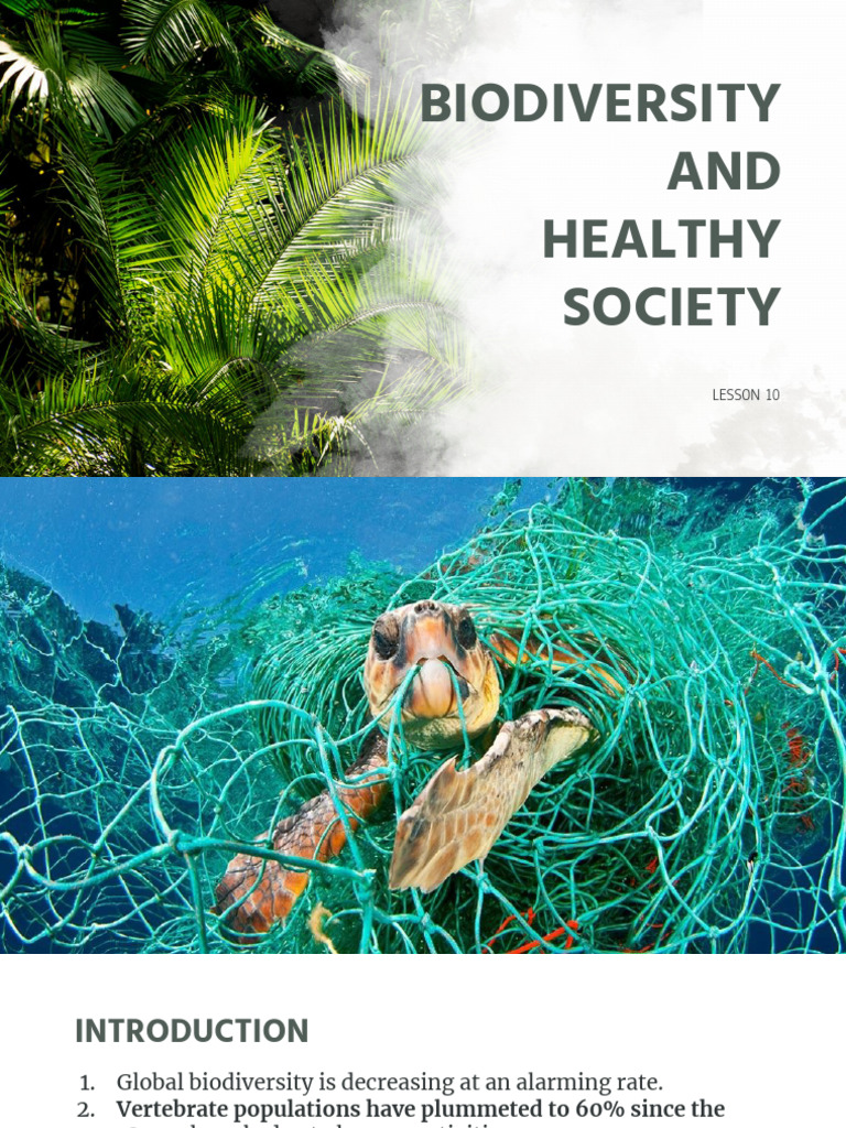 Biodiversity's Impact on Health and Society | PDF | Biodiversity ...