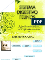 pdf-sistema-digestivo-en-felino_compress