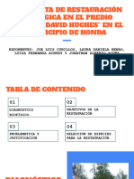 Propuesta de Restauración Ecológica en El Predio "Estadio David Hughes" en El Municipio de Honda