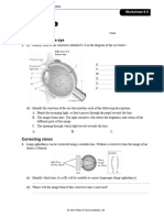 Eye Worksheet