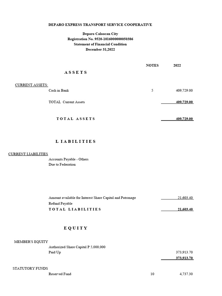 Deparo Express Transport Financials 2022 | PDF | Equity (Finance ...