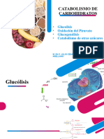 Metabolismo de Los Carbohidratos