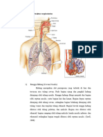 Anatomi Paru