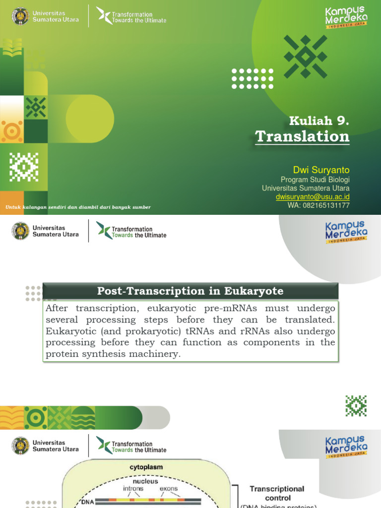 Eukaryotic mRNA Processing and Translation | PDF | Translation (Biology ...