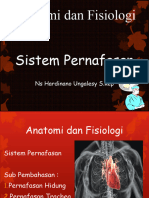 Anfis Sistem Pernafasan