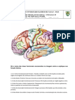 Atividade 1 - TO AMANDA DICIULA Neuroficiologia Humana)